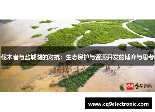 伐木者与盐城湖的对抗：生态保护与资源开发的博弈与思考
